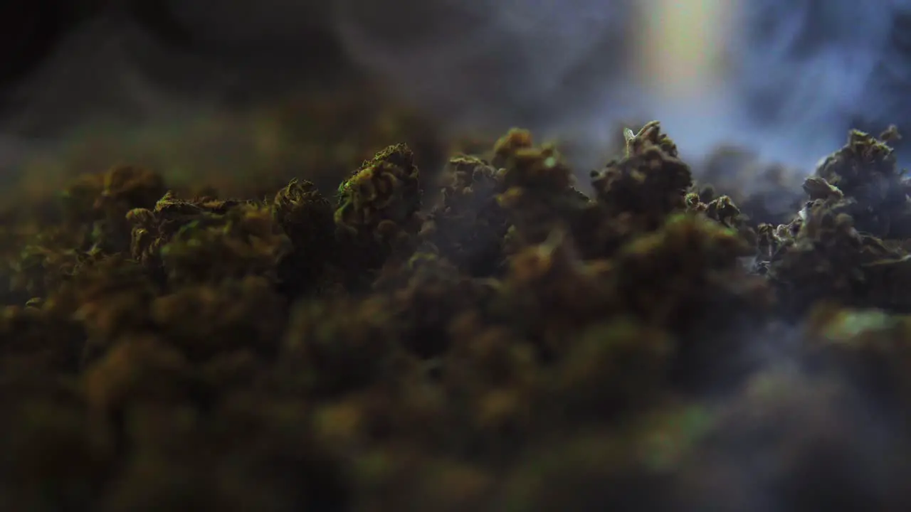 A bunch of cbd and thc marijuana buds recorded from up close as the smoke drifts by