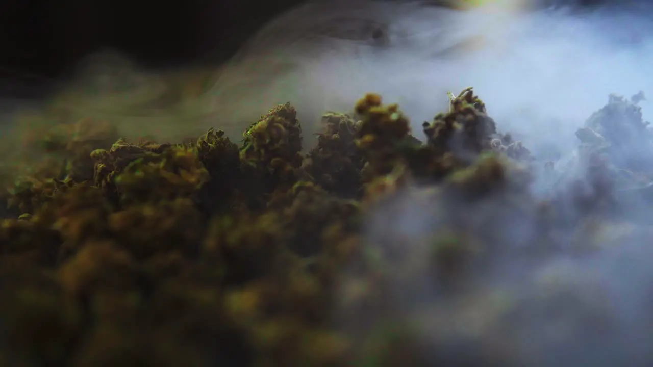 Cannabis flowers of cbd and thc marijuana buds filmed from up close as the smoke pass in front