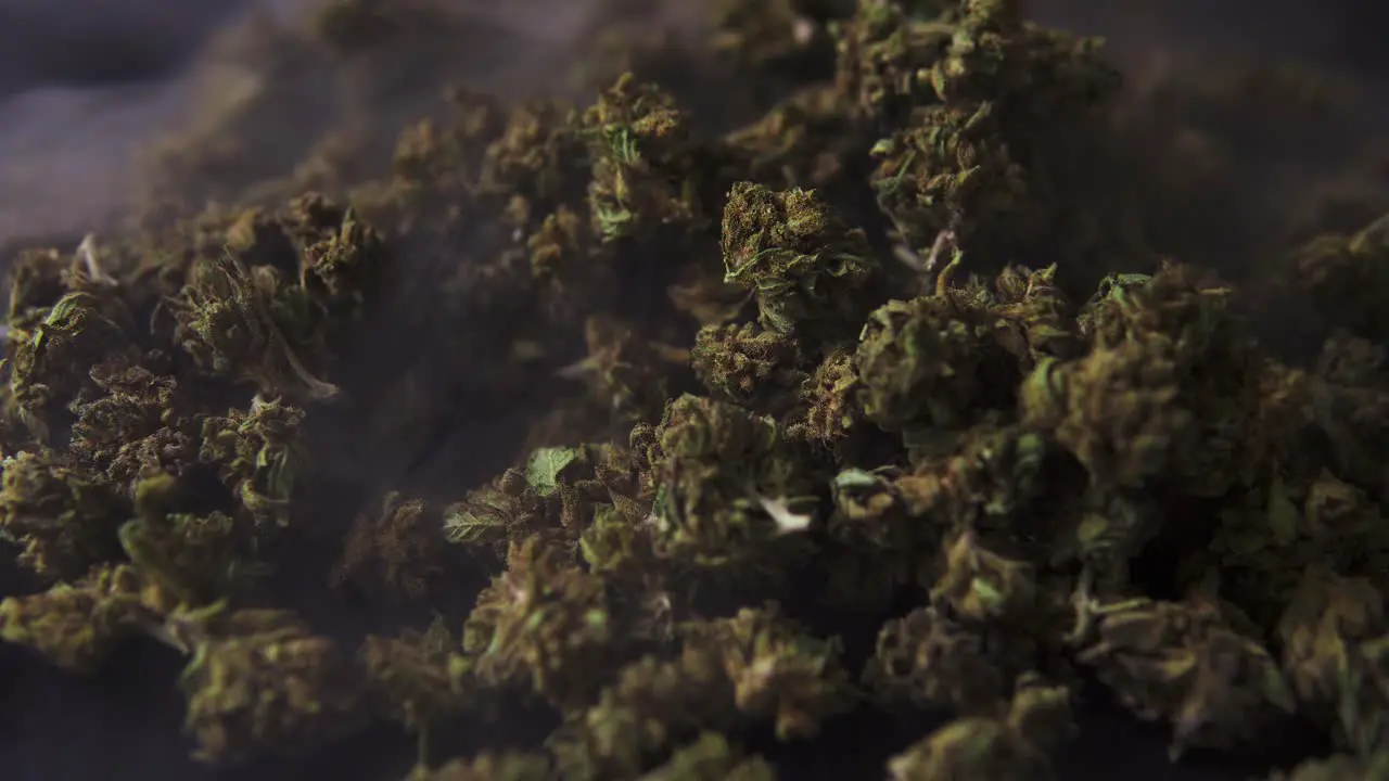 Cannabis cbd and thc marijuana buds recorded from up close as the smoke drifts by