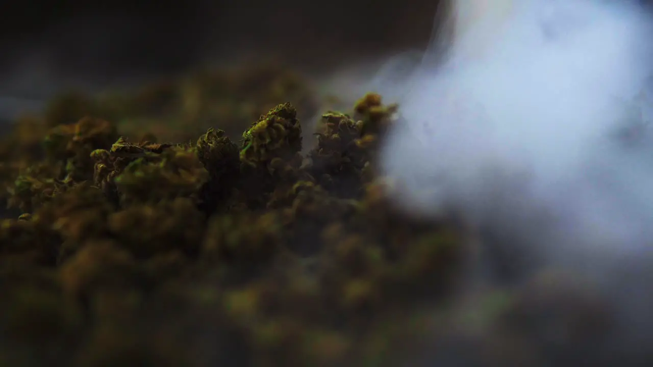 CBD and THC marijuana buds recorded from up close as the smoke drifts by