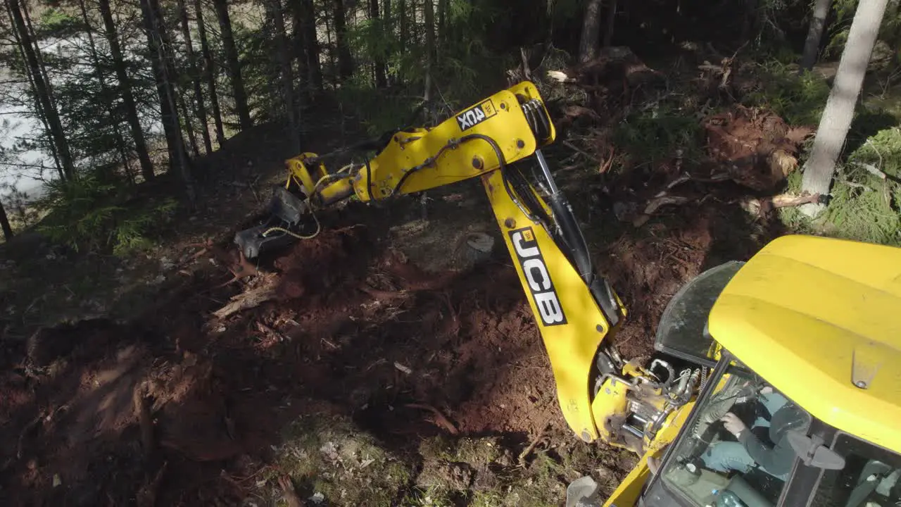 JCB tractor working in forest taking out tree roots from sandy ground and putting them into pile