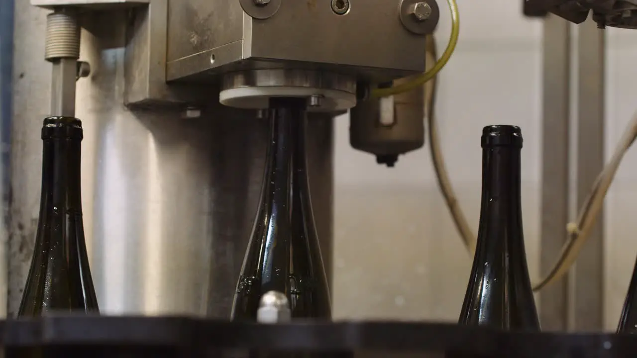 Wine bottles lifted into corking machine to get corked