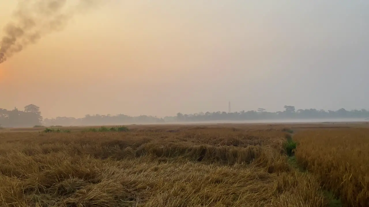 Establisher shot of vast paddy farmland field pan reveal polluting Gas Plant