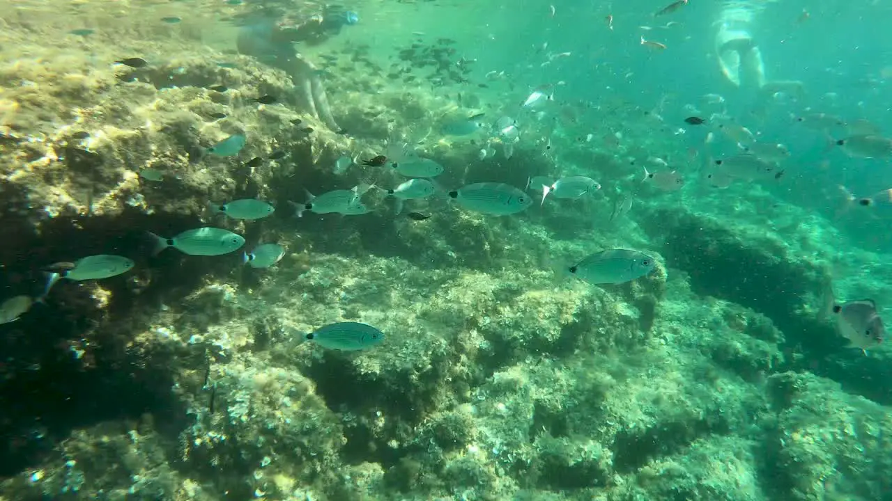 Snorkelling in the Balearic Islands-1