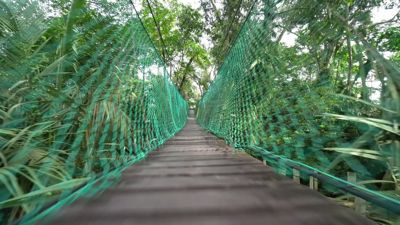 Walk at the wooden canopy bridge