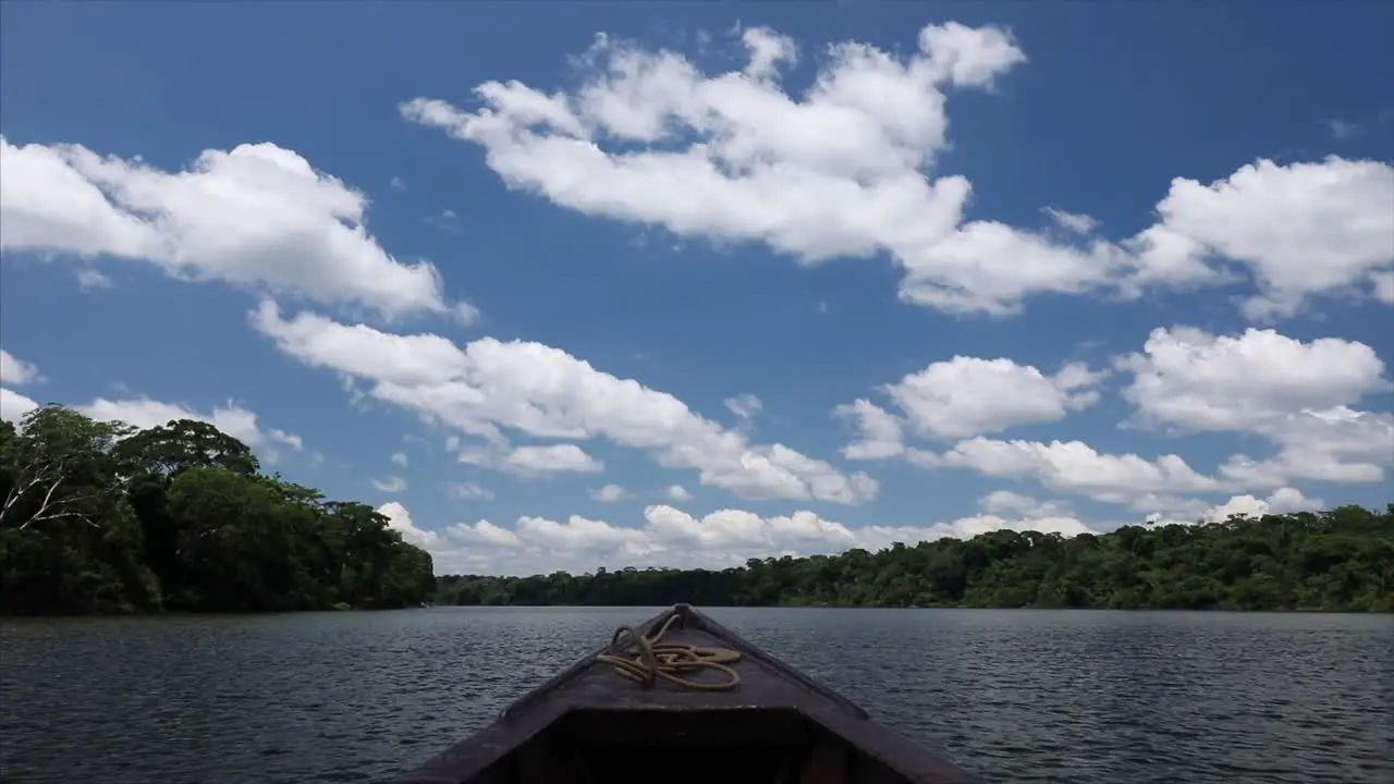 front view from the boat in the amazon