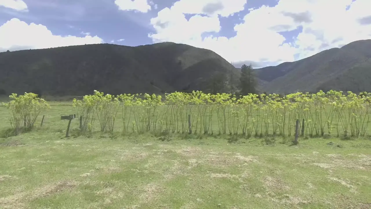 country landscape of blue sky with white clouds that shade the green pastures of the field in addition to appreciating a large mountain in the Colombian country