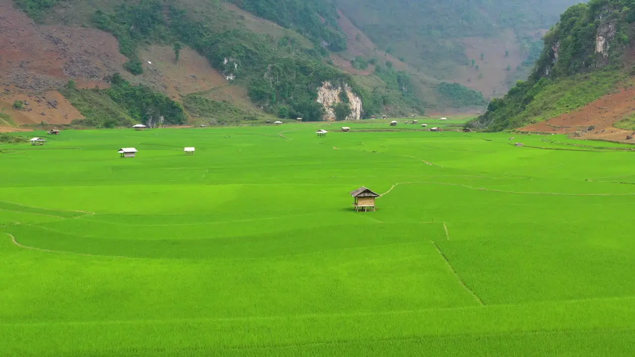 - Beautiful green terraced rice fields in the Northwest mountains Vietnam