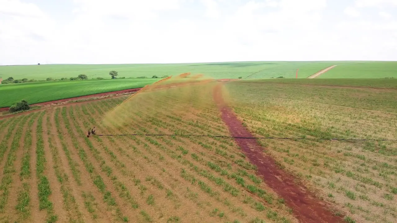 Cane sugar plant using liquid fertilizer in sugar cane