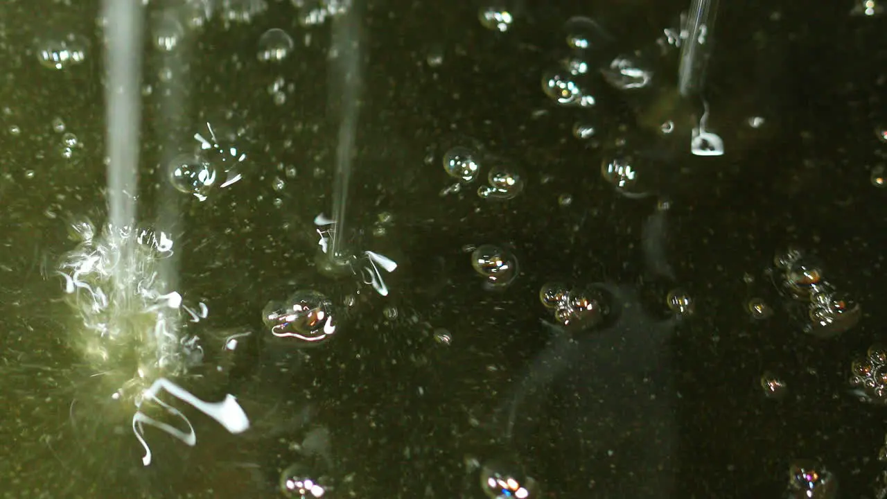 Sustainable biodiesel macauba palm oil being produced in a factory