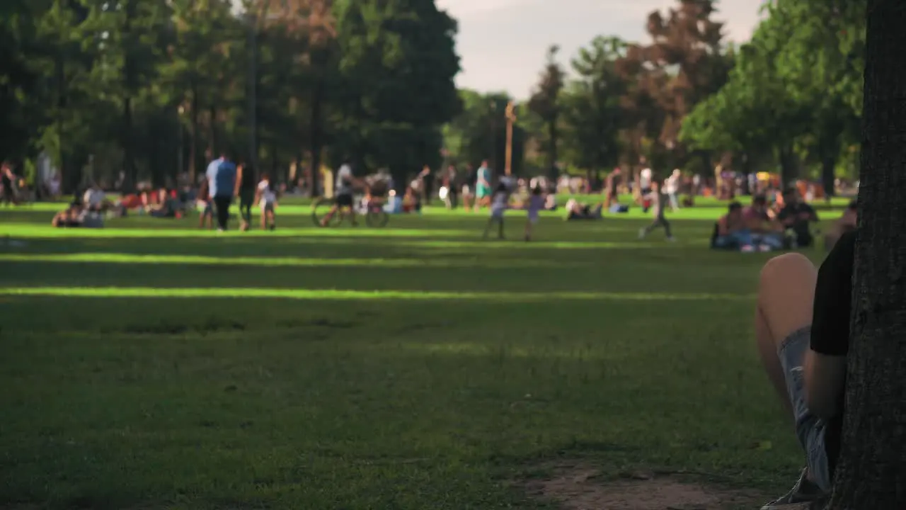 people out at the park enjoying a beautiful day