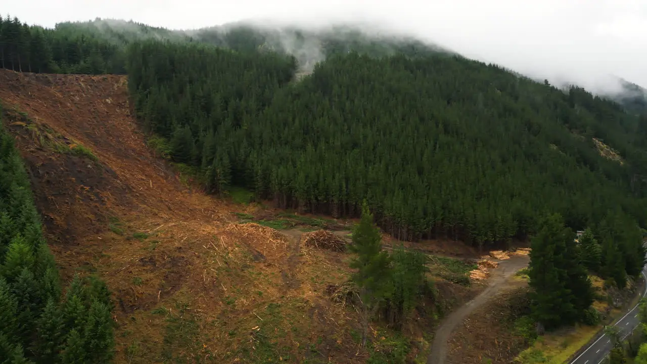 Aerial panning shot of deforestation in New Zealand Nelson area