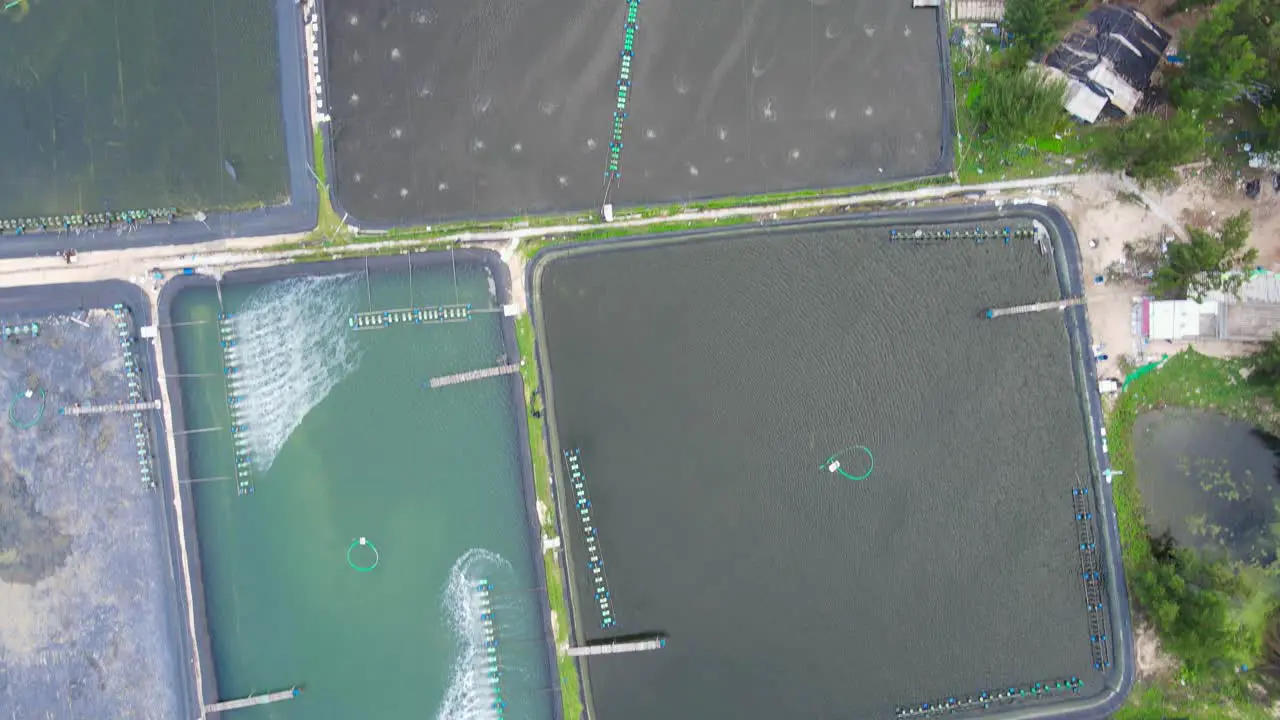 Top-down bird's eye view of dry and water-filled shrimp farms