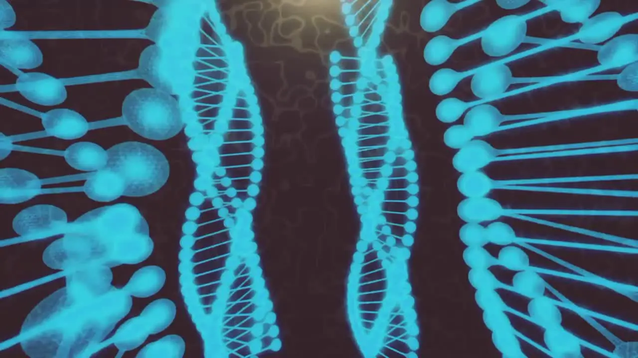 Human genome rotating animation of DNA helix deoxyribonucleic acid concept of human genes cloning