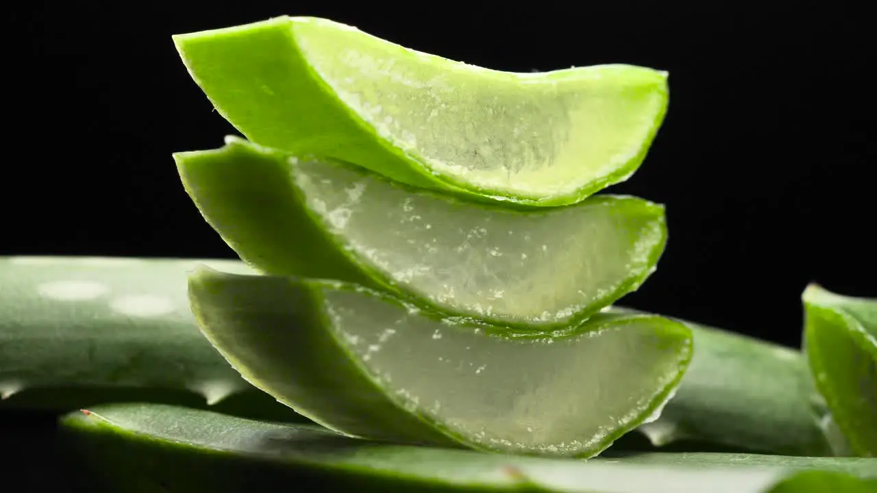 Fresh Aloe Vera leaves sliced for cosmetic and skincare product preparation