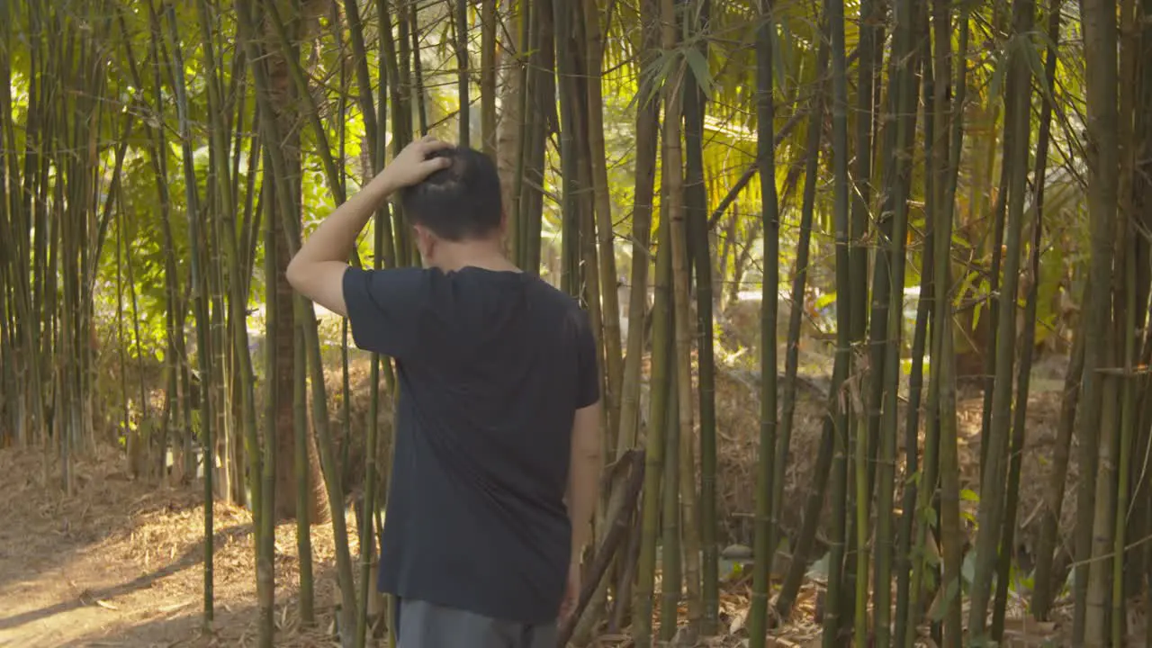 Walking through a bamboo grove in a garden a man cannot stop scratching his itchy dandruff scalp on his balding head