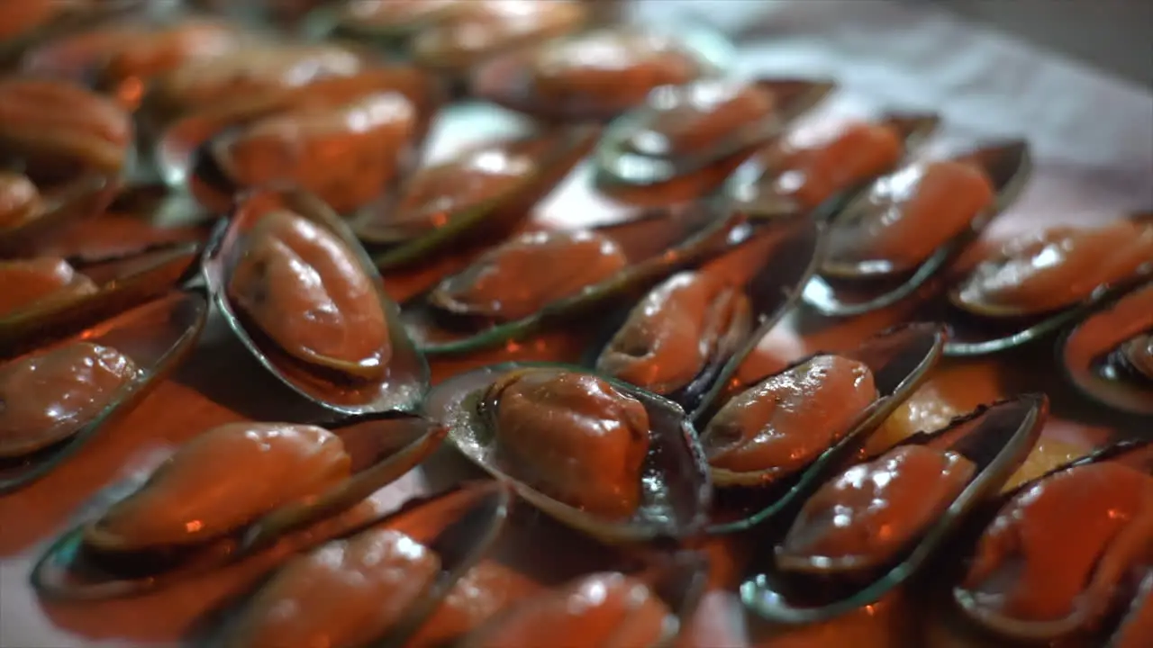 Mussels roasting on barbecue grill with sizzling oil tasty fresh sea food preparation