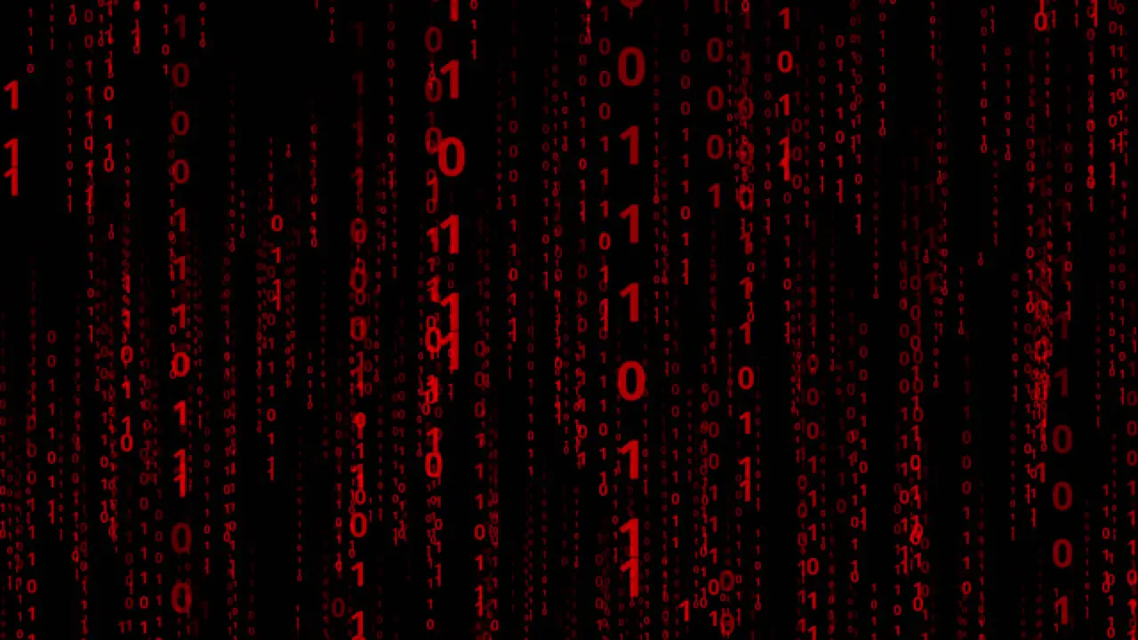 Binary code strings Matrix style backdrop in red