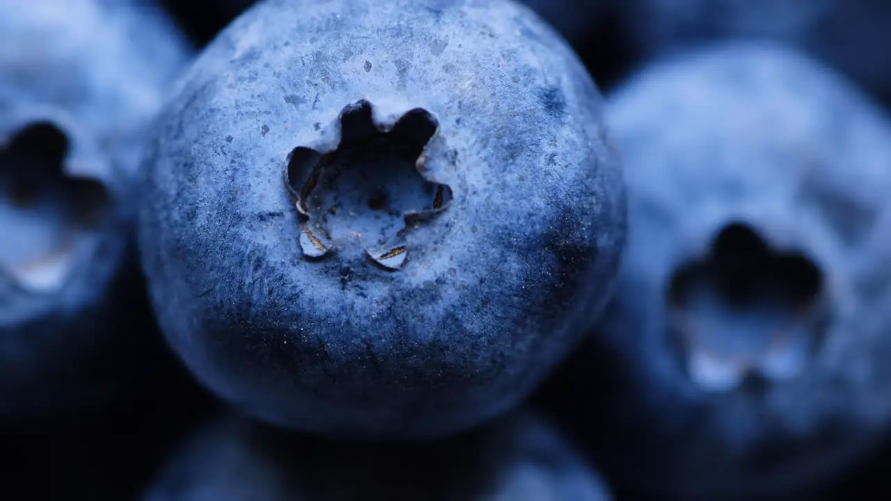 Close up of fresh blueberries