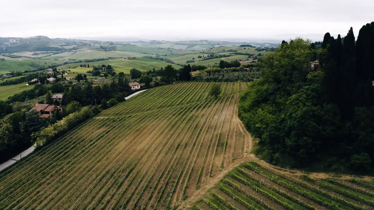 Aerial view of Italy's Tuscan countryside covered in wine vineyards