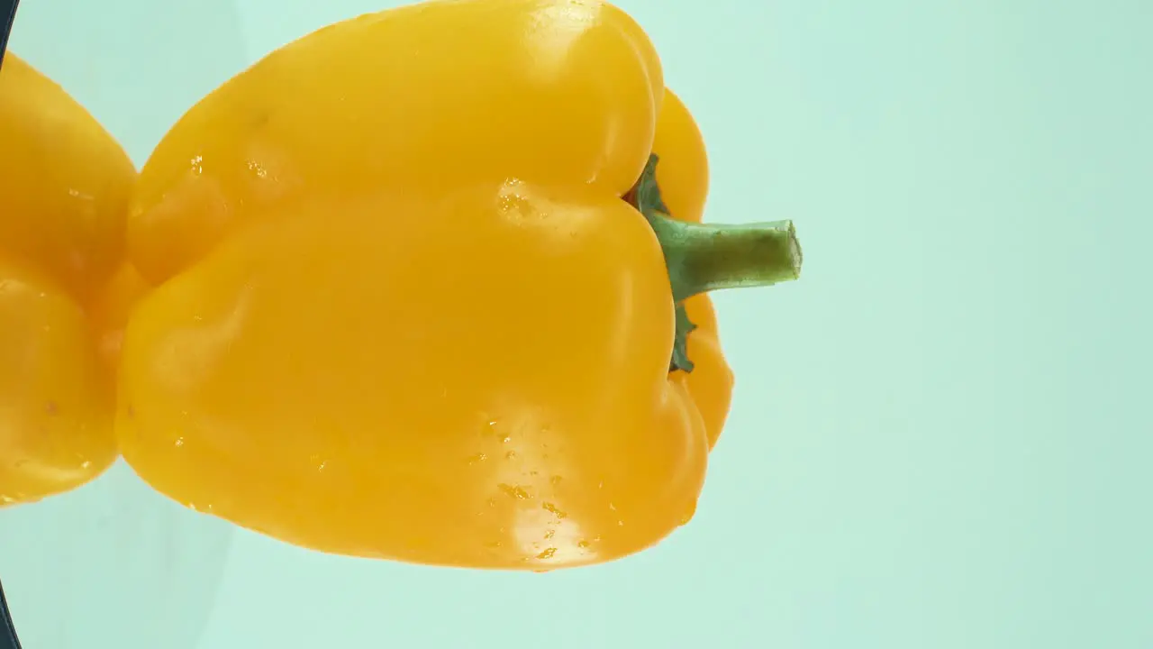 A vertical close up shot of a sweet yellow pepper on a reflecting rotating stand 360 slow motion 4k