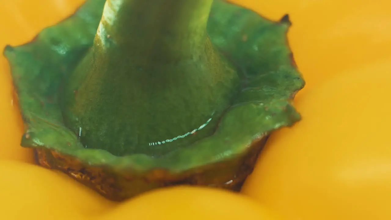 A macro close up shot of a wet sweet yellow pepper on a rotating stand 360 slow motion 4k