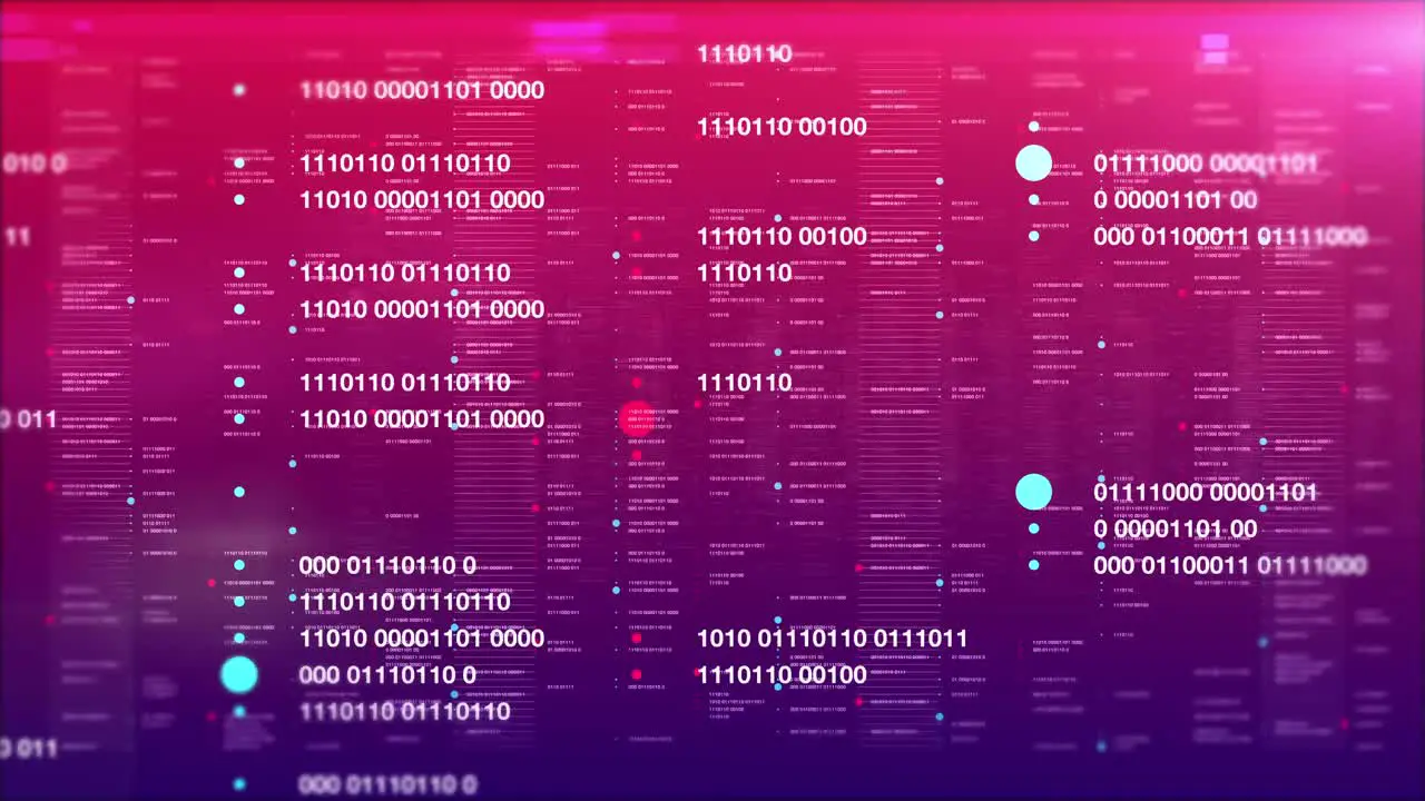 Fly through dark web info war