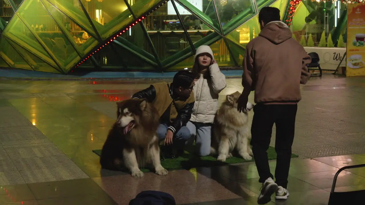 vietnamese couple with their two large dogs posing for a photo