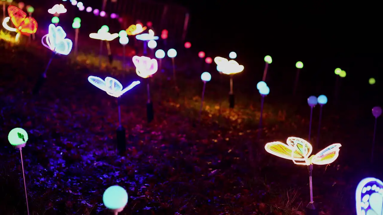 Illuminated Butterfly sculptures at Lightopia in Crystal Palace park London