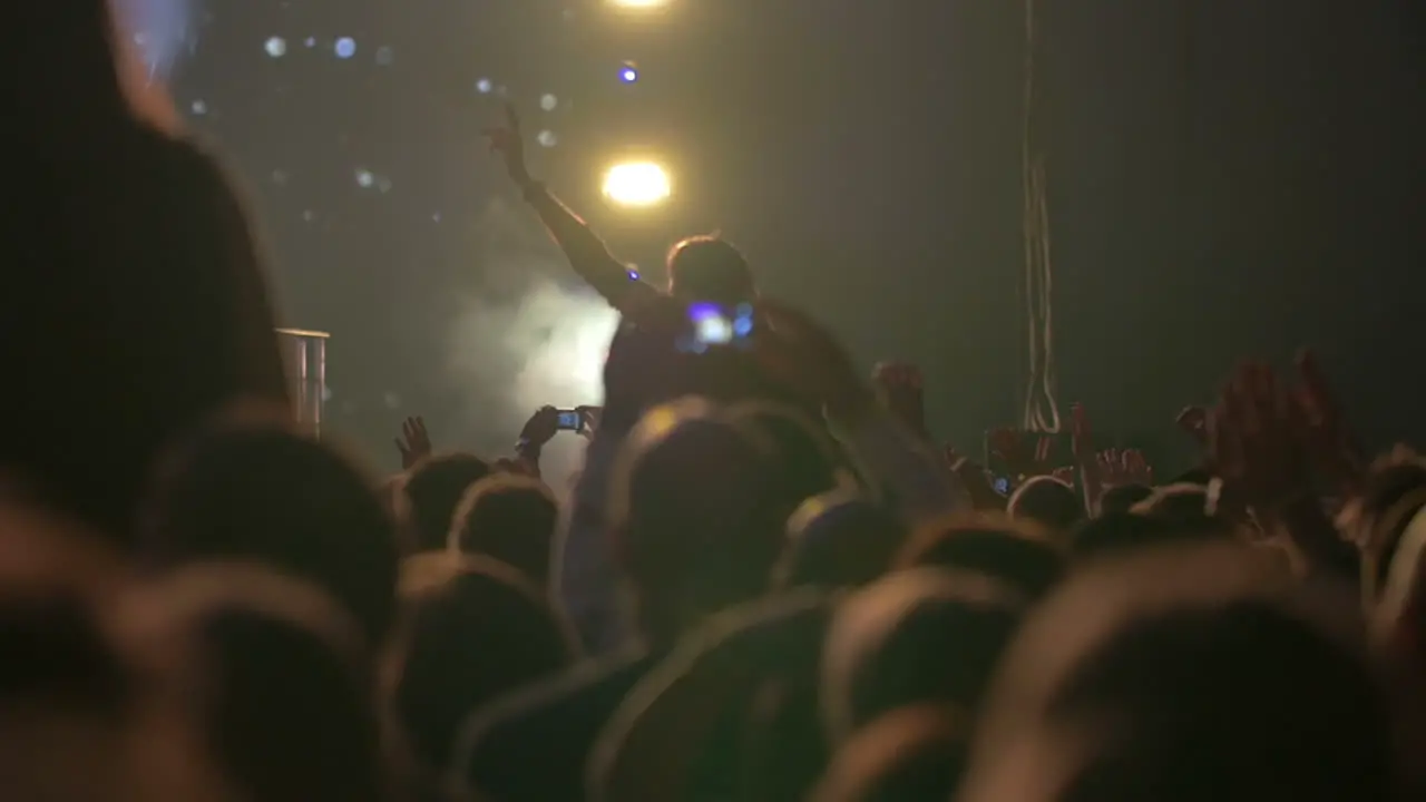 Musical Show Audience