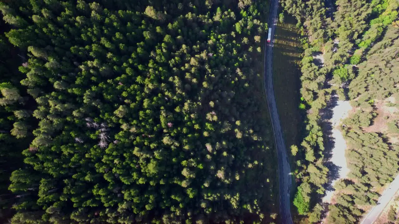 Drone Footage Of Trailer Truck Driving On Lonely Road Surrounded By Lush Green Forest Trees In Bright Sun Daylight