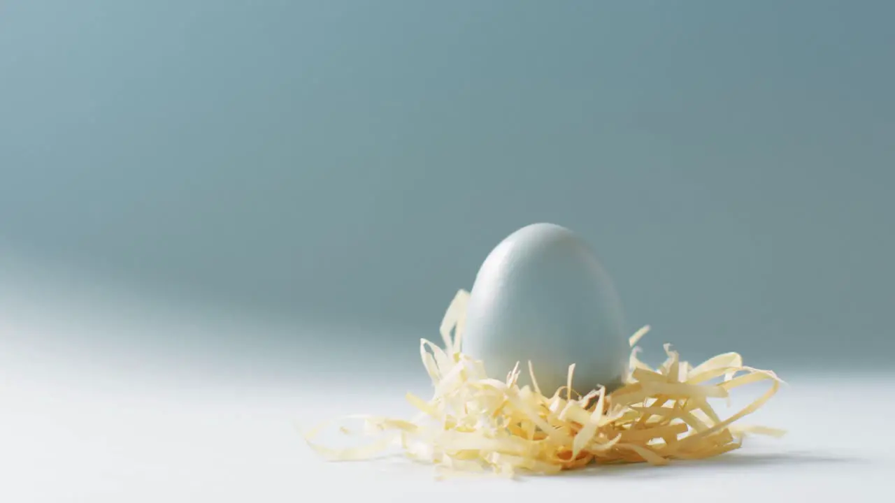 Blue easter egg with hay on blue background with copy space