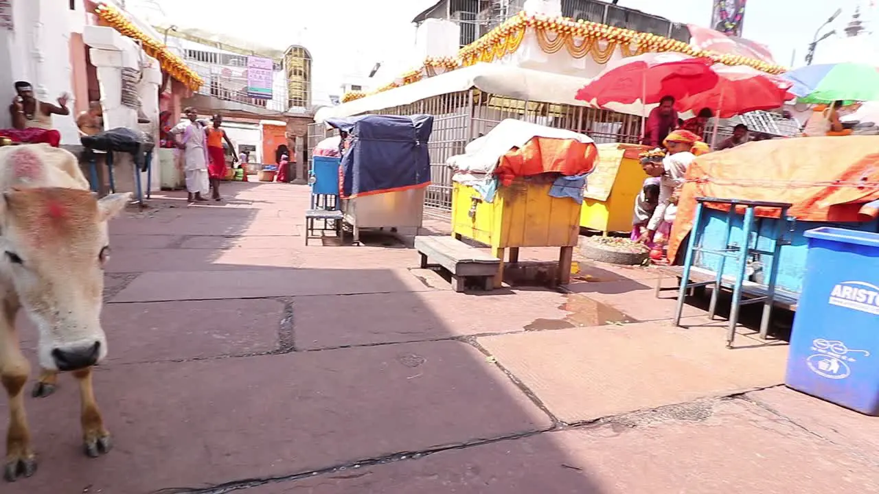 Small vendors remain closed due to less crowd of Pilgrims during covid-19 crisis at Baidyanath Dham temple in Deoghar Jharkhand