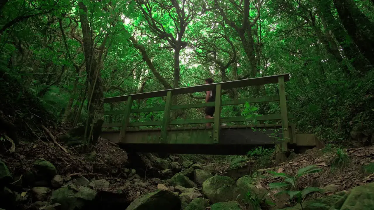 Young Man walking in beautiful New Zealand Bush