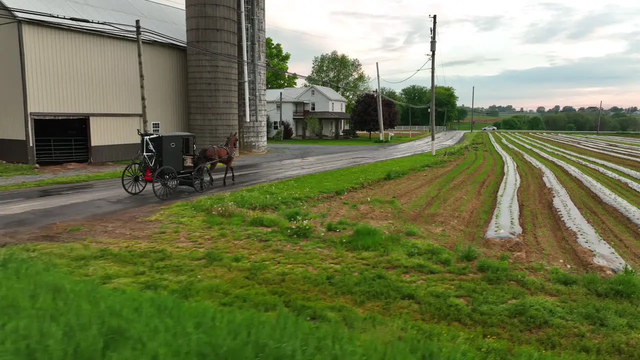 Aerial tracking shot of Amish horse and buggy passing farm