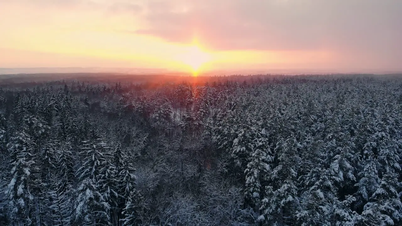 Luftaufnahme Auf Den Waldhügeln Während Des Wintersonnenuntergangs Kronen Von Nadelbäumen Werden Von Einer Hellen Untergehenden Sonne Beleuchtet