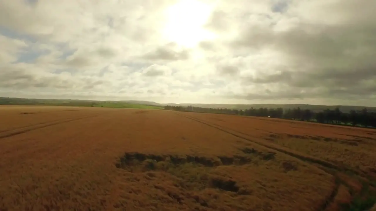 Imágenes De Drones De Campos Dorados