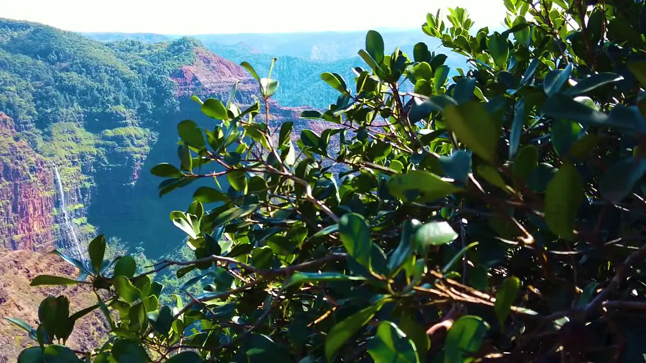 HD Hawaii Kauai slow motion boom left from bushes to reveal Waimea Canyon with a waterfall in the distance