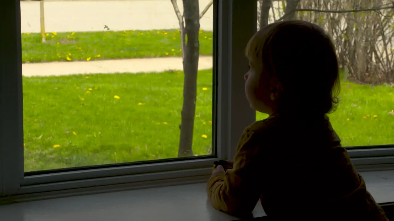 Toddler boy looking out a window