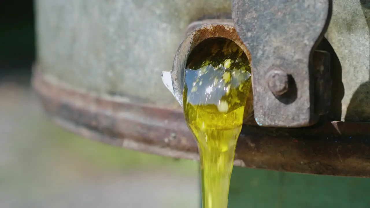 Production Of Honey On A Small Home Apiary Honey Flows From A Tap Of A Honey Machine 4k Video