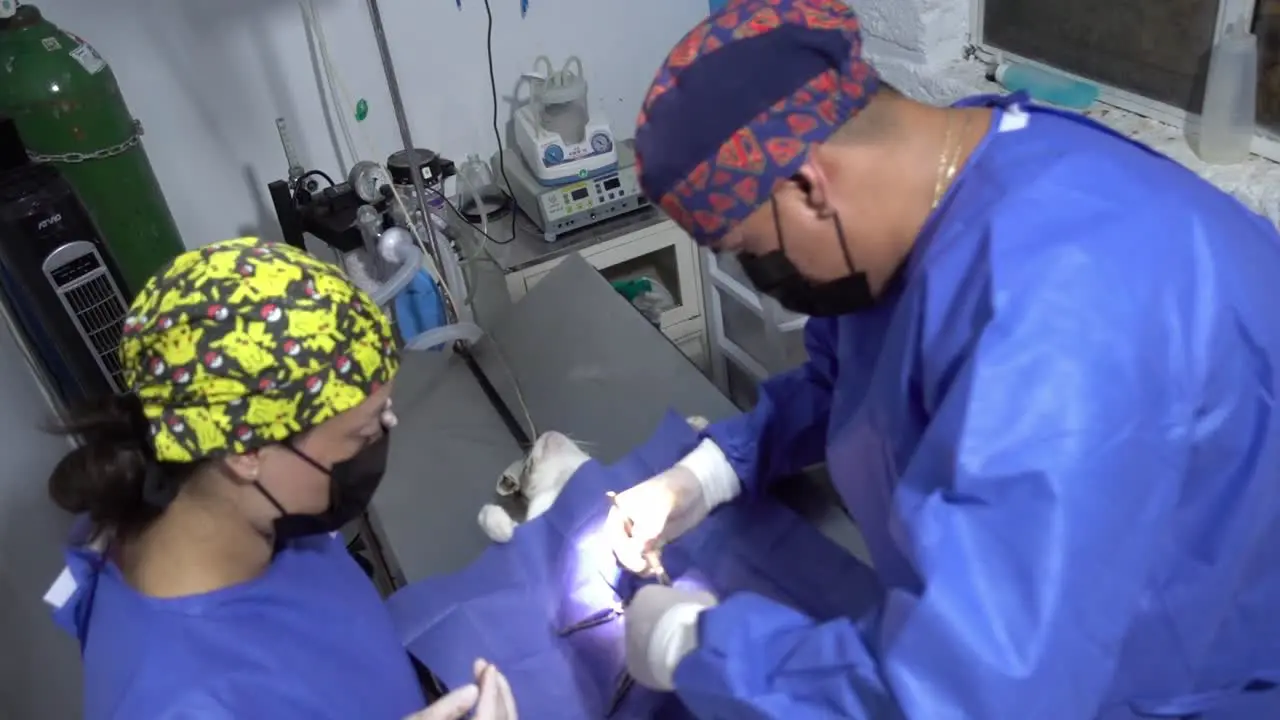 Hand-held shot of a veterinary team operating on a small white animal