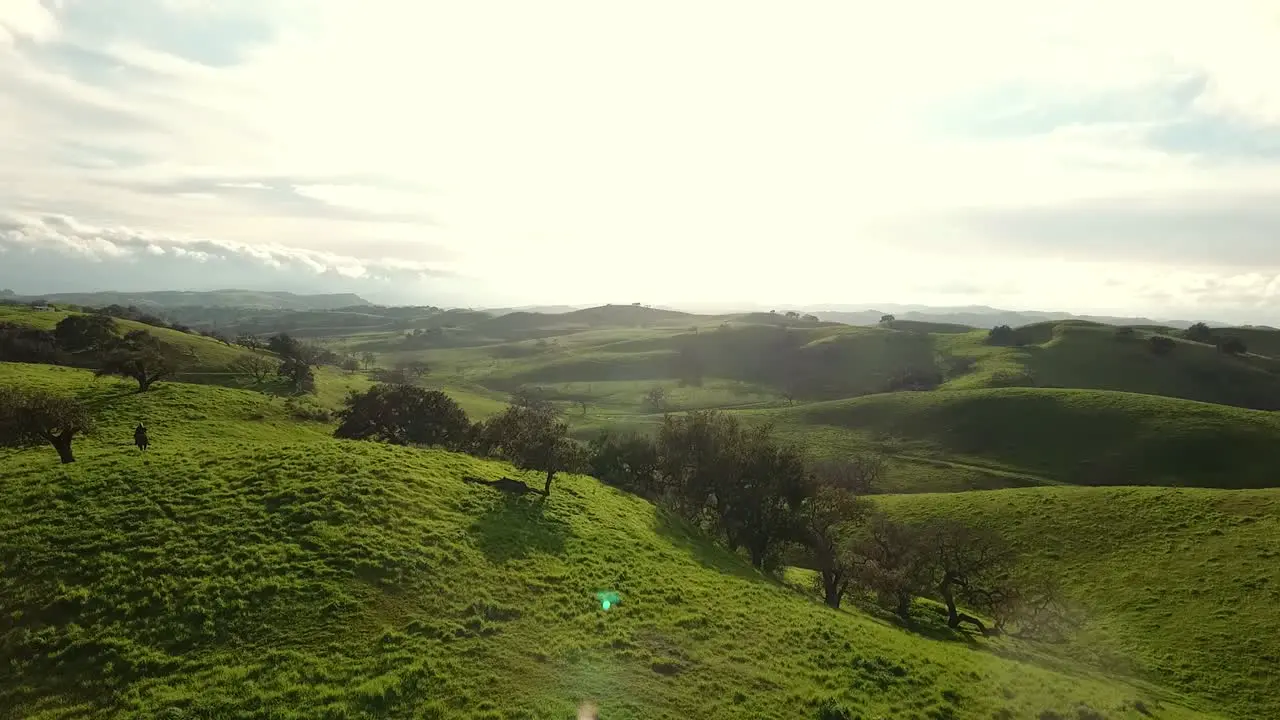 Aerial View of Horse Galloping on Beautiful Rolling Hills During Golden Hour