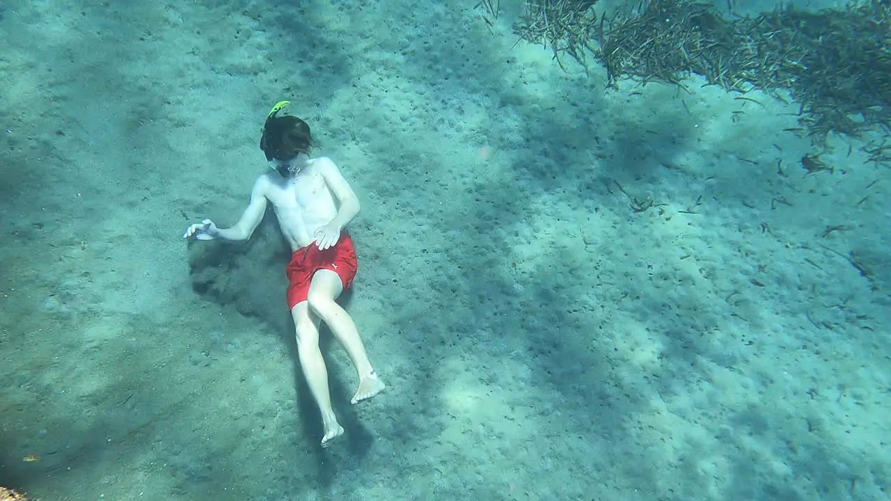 a snorkeler is on the sandy bottom of