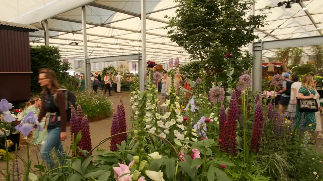 Pan over wild flower exhibit at the chelsea flower show