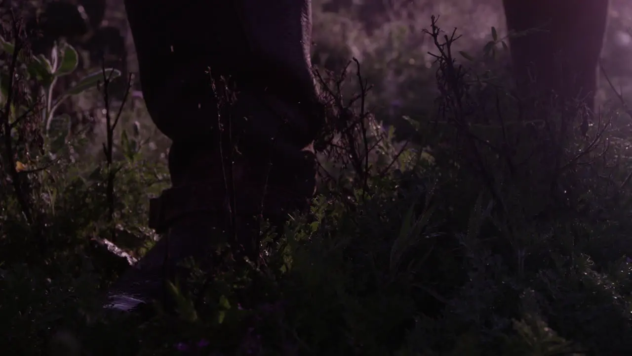 a hunter walking in a grassland-forest