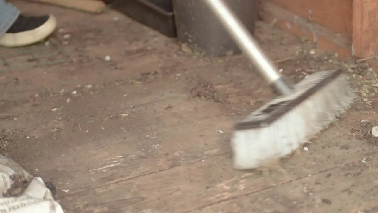 Homeowner sweeping dirt and dust in timber shed