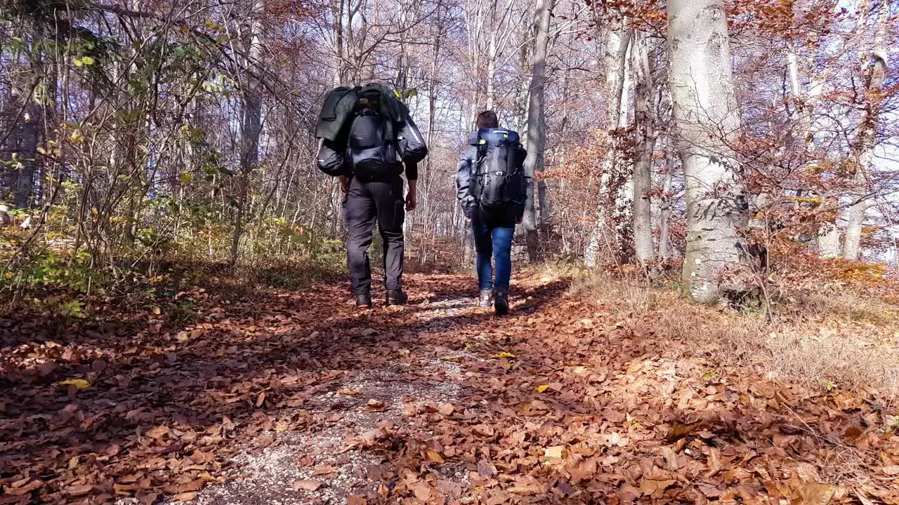 Static camera view of forest path with two backpacking hikers walking by