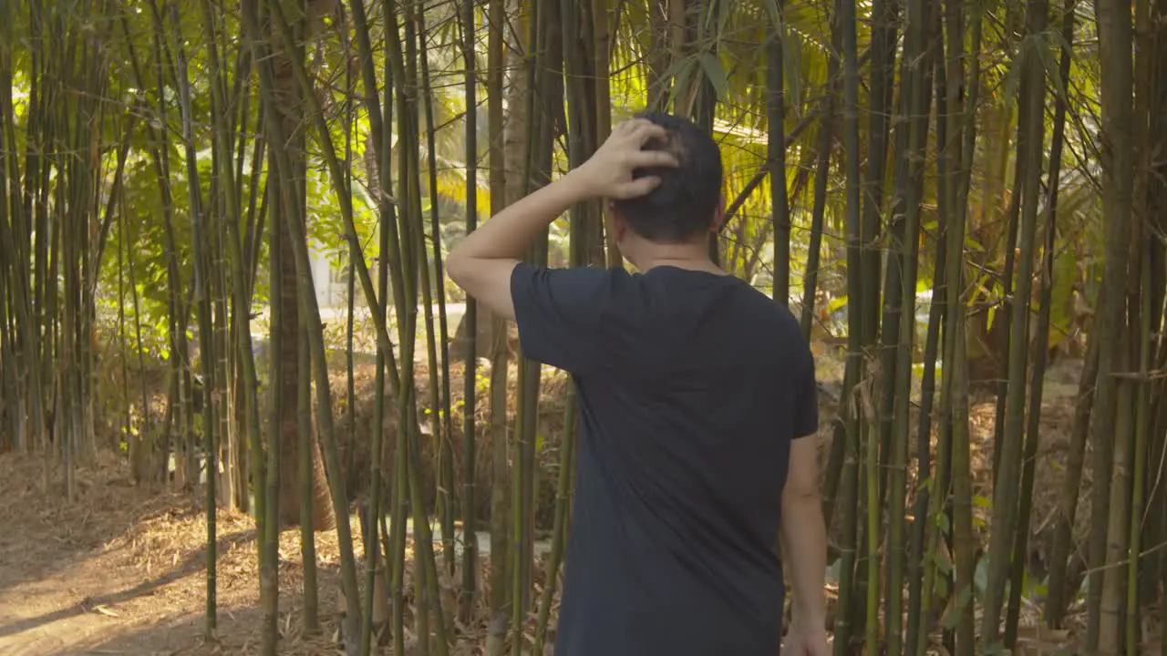 A balding man walking through a bamboo grove can't stop itching his scalp due to dandruff