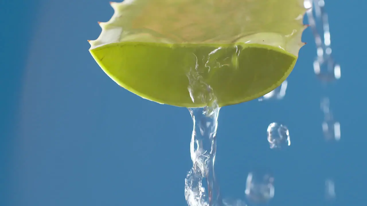 Pure water drops and streams to green aloe