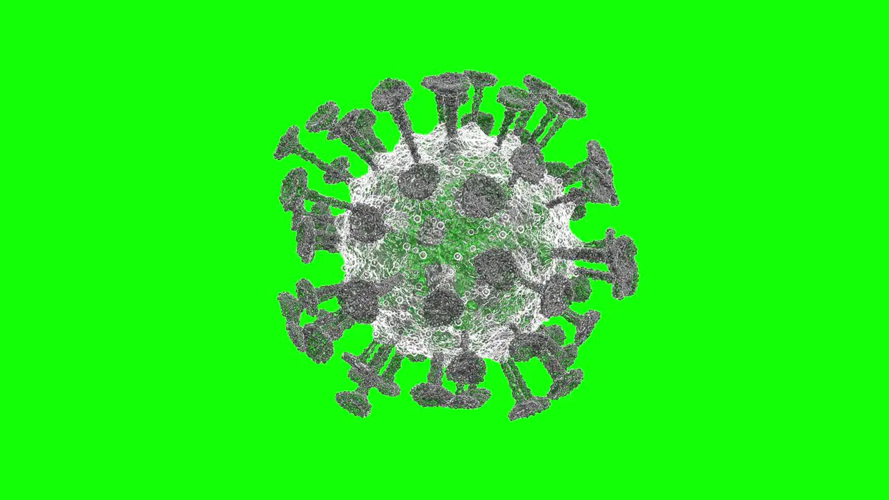 Corona Virus rotating in xray Animation In 4K